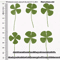 Vintage Lucky Clover Postcards Transparent Wishing Cards With Natural Grass For Bookmarks And Keep 4