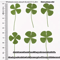Vintage Lucky Clover Postcards Transparent Wishing Cards With Natural Grass For Bookmarks And Keep 4