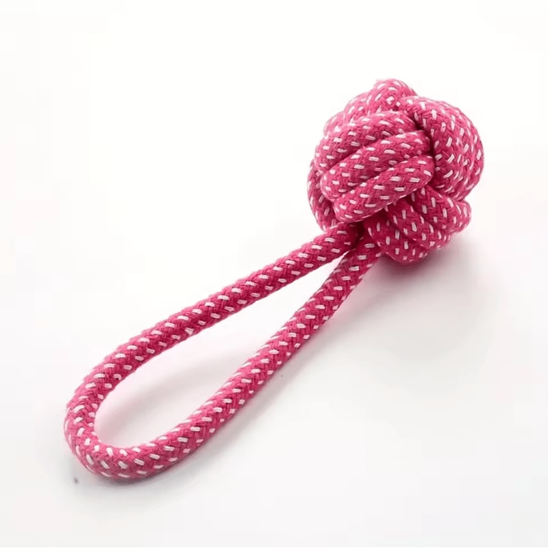 Braided Rope Dog Toy For Interactive Tug Of War And Dental Care Chewing Small To Medium Breed Pet 3