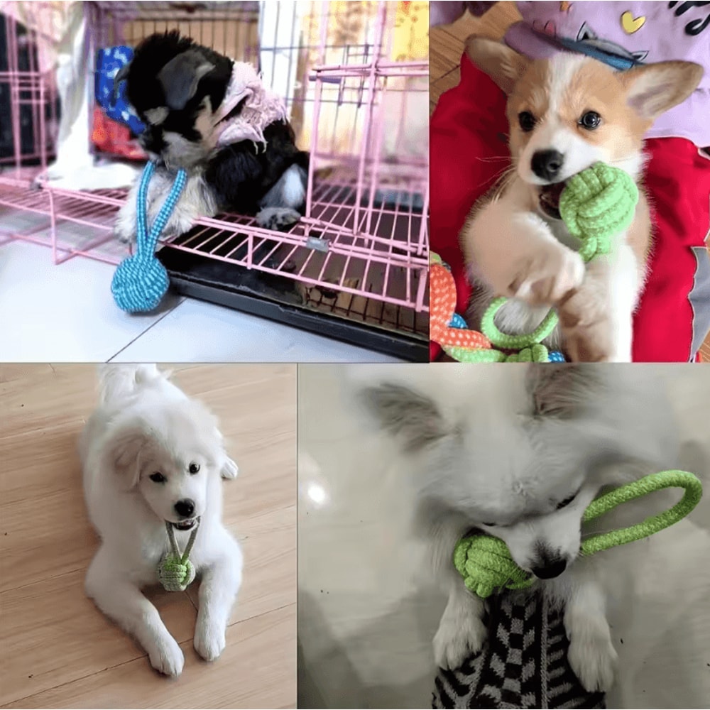Braided Rope Dog Toy For Interactive Tug Of War And Dental Care Chewing Small To Medium Breed Pet 4