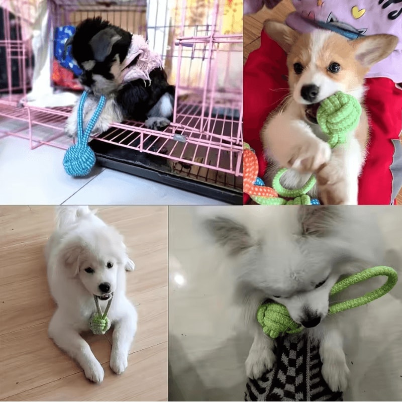 Braided Rope Dog Toy For Interactive Tug Of War And Dental Care Chewing Small To Medium Breed Pet 4