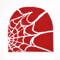 Spider Web Beanie Hat Unisex Knit Warm Outdoor Pullover Personality Winter Cap 3