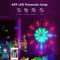 RGBIC Firework Strip Lights Bluetooth APP Control USB LED Neon Strip For Smart Mood Lighting 2