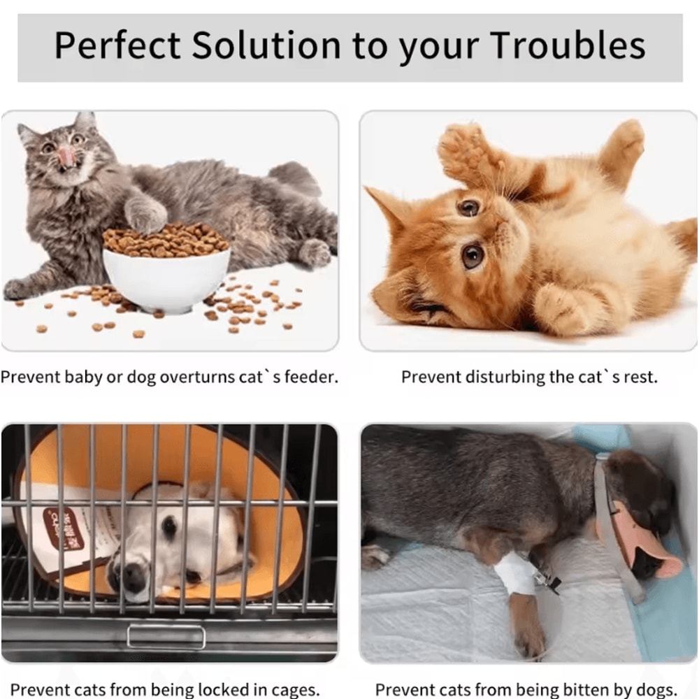 Adjustable Black Pet Door Holder Latch For Cats And Small Pets 5