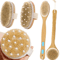 2in1 Natural Bristle Body Massage Brush Dry Skin Exfoliator And AntiCellulite Circulation Massager 1