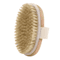 2in1 Natural Bristle Body Massage Brush Dry Skin Exfoliator And AntiCellulite Circulation Massager 9