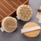 2in1 Natural Bristle Body Massage Brush Dry Skin Exfoliator And AntiCellulite Circulation Massager 2