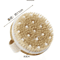 2in1 Natural Bristle Body Massage Brush Dry Skin Exfoliator And AntiCellulite Circulation Massager 4