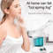 Portable Ionic Facial Steamer Professional Face Mist Spray And Hydration Device 1