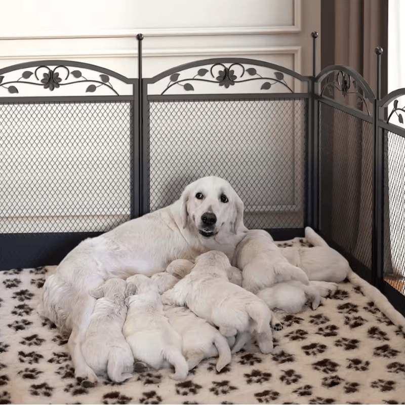 Heavy Duty Dog Playpen Large Pet Exercise Enclosure With Waterproof Mat For Indoor And Outdoor 4