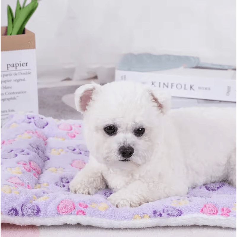 Flannel Dog Bed Blanket Thickened Washable Cushion Mat For Puppies And Pets 3