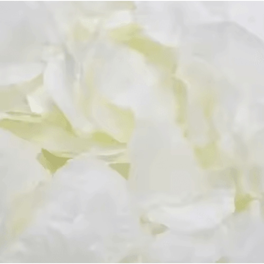 Artificial Rose Petals Red Silk Petal Decor For Weddings Valentines Day And Parties 9