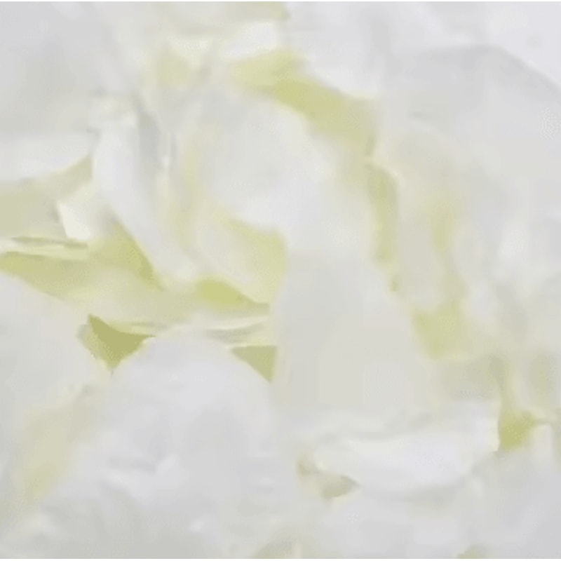 Artificial Rose Petals Red Silk Petal Decor For Weddings Valentines Day And Parties 9