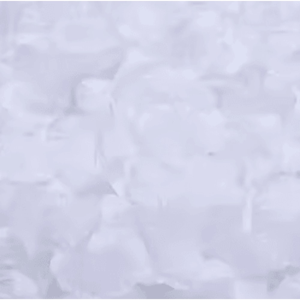 Artificial Rose Petals Red Silk Petal Decor For Weddings Valentines Day And Parties 10