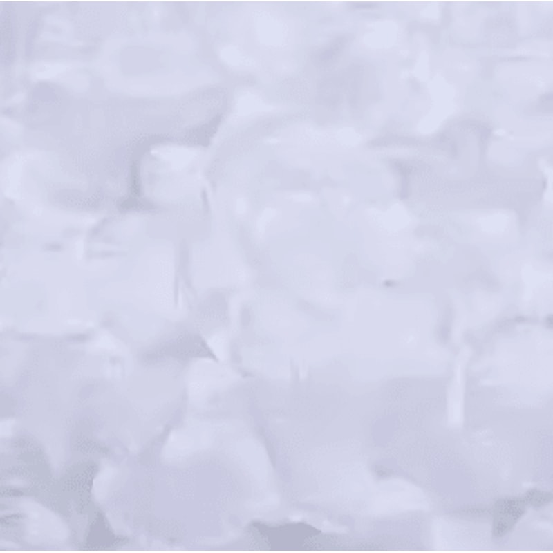 Artificial Rose Petals Red Silk Petal Decor For Weddings Valentines Day And Parties 10