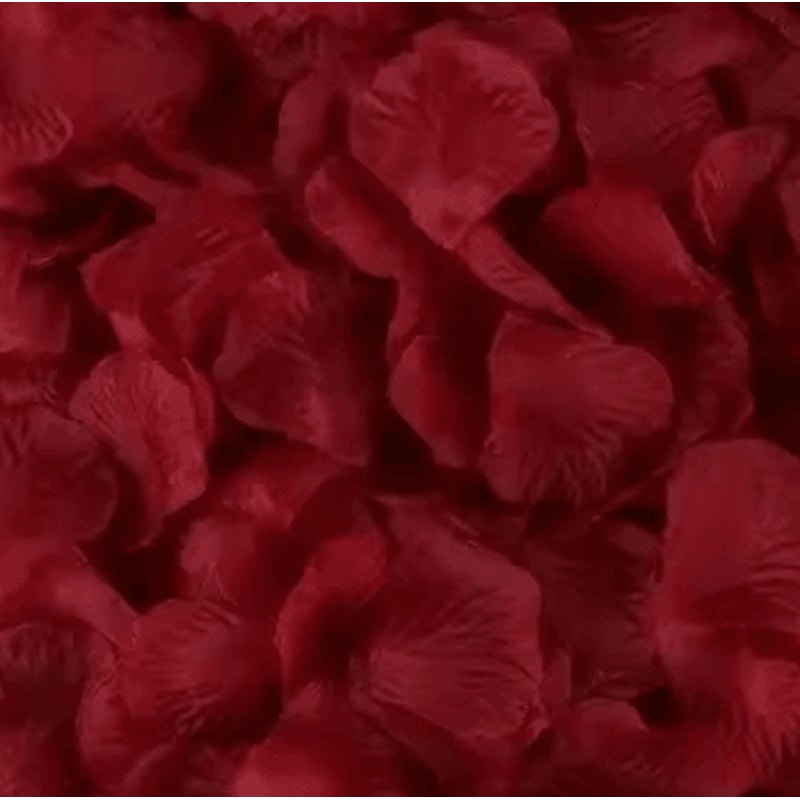 Artificial Rose Petals Red Silk Petal Decor For Weddings Valentines Day And Parties 7