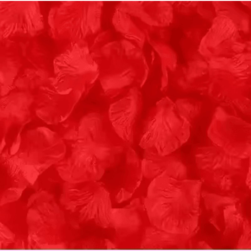 Artificial Rose Petals Red Silk Petal Decor For Weddings Valentines Day And Parties 14