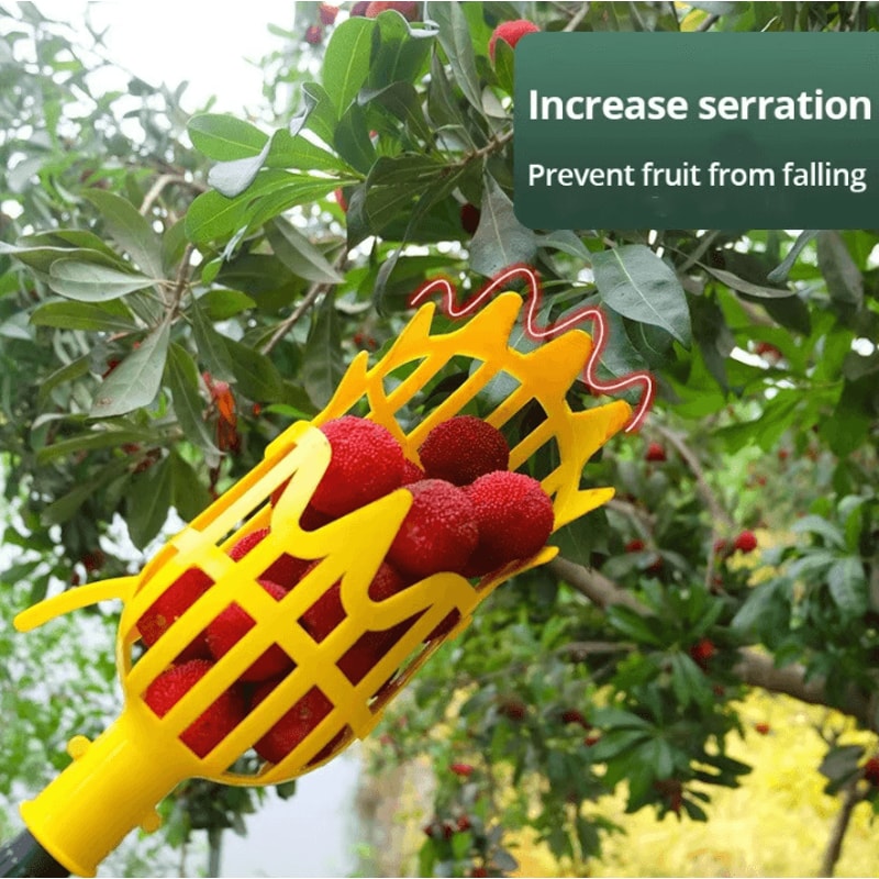 Garden Fruit Picker Tool With Deep Basket Easy Orchard Yard Harvesting 1