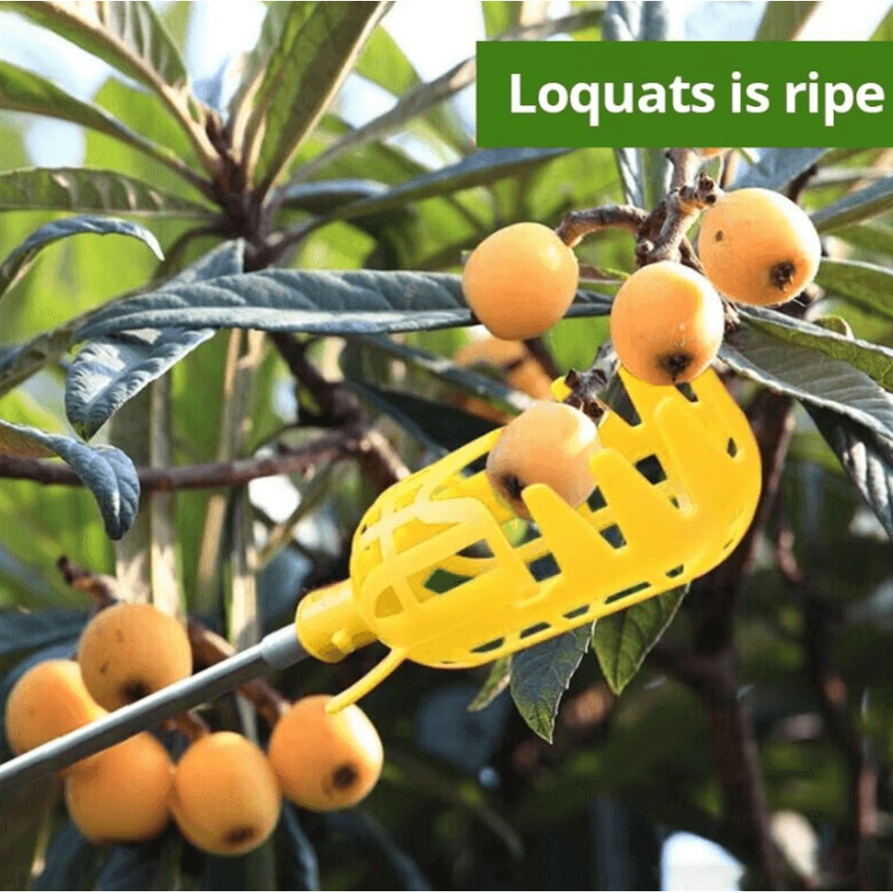 Garden Fruit Picker Tool With Deep Basket Easy Orchard Yard Harvesting 3