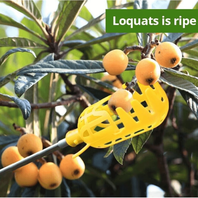 Garden Fruit Picker Tool With Deep Basket Easy Orchard Yard Harvesting 3