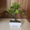 Plastic Mini Potted Plant Decor Faux Bonsai Tabletop Ornament 2