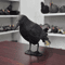 Outdoor Garden Bird Repellent Raven Decoy Black Simulation Crow Decoration For Pest Control And Pi 0