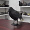 Outdoor Garden Bird Repellent Raven Decoy Black Simulation Crow Decoration For Pest Control And Pi 0