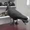 Outdoor Garden Bird Repellent Raven Decoy Black Simulation Crow Decoration For Pest Control And Pi 2