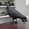 Outdoor Garden Bird Repellent Raven Decoy Black Simulation Crow Decoration For Pest Control And Pi 2