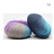 Rainbow Soft Fine Wool Yarn 50 G Crochet Knitting Fancy Colorful Yarn Ball 8