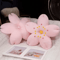 CherryBloom Plush Floor Sofa Cushion Pink Cherry Petals Tatami Seat Pillow 1