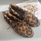 Women Cowhide Leather Bow And Leopard Print Casual Loafers Comfortable Slip On Shoes 4