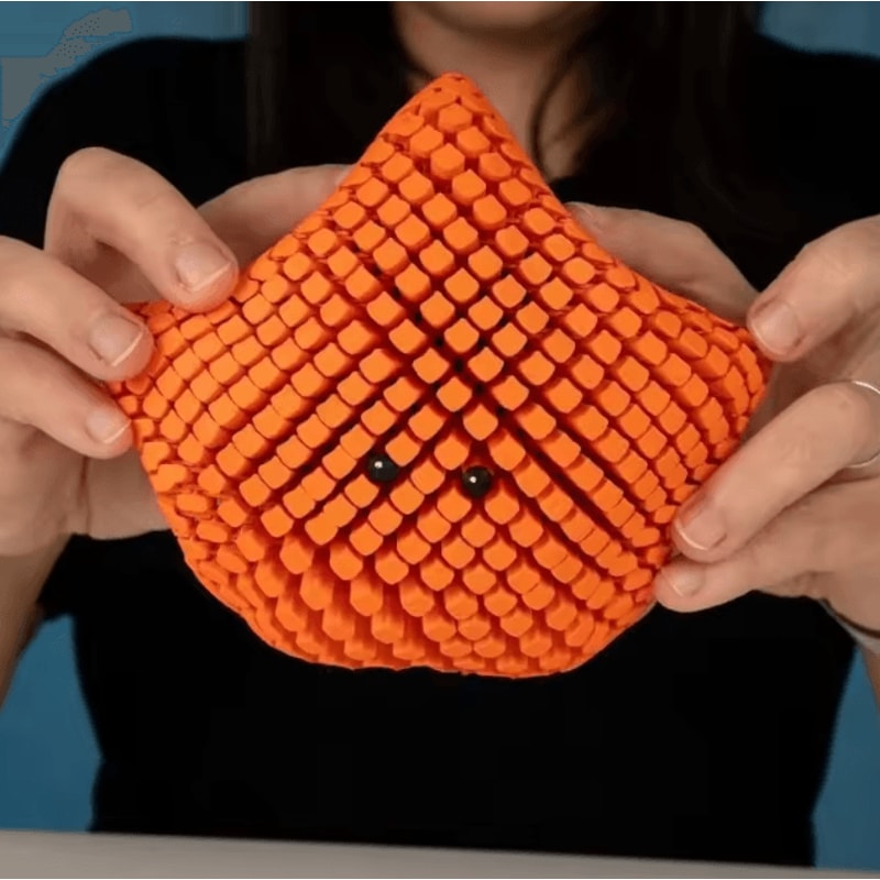 Flexible Fidget Toy 3D Articulated Starfish Stress Relief Sensory Desk Toy 1