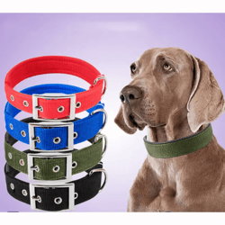 solid nylon dog collar – adjustable collar for small, medium & large dogs