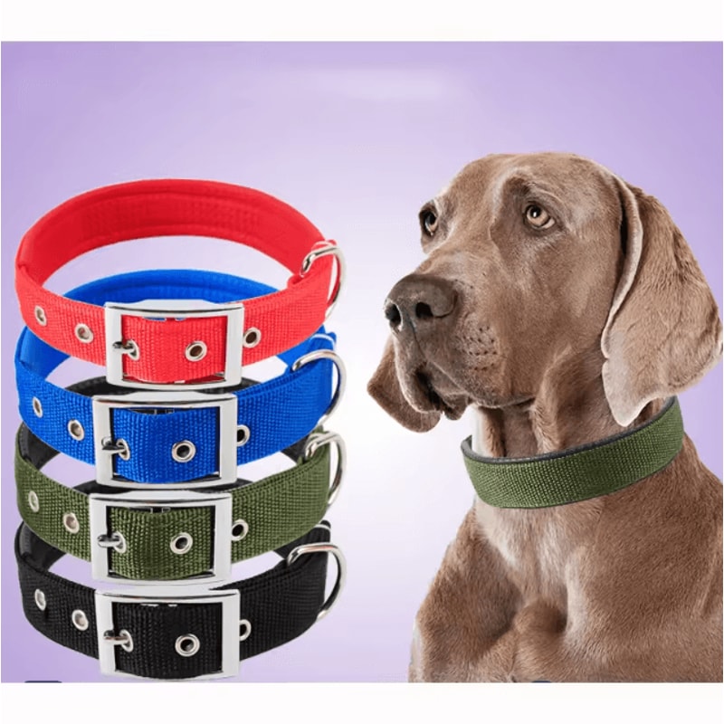 Solid Nylon Dog Collar Adjustable Collar For Small Medium Large Dogs 0