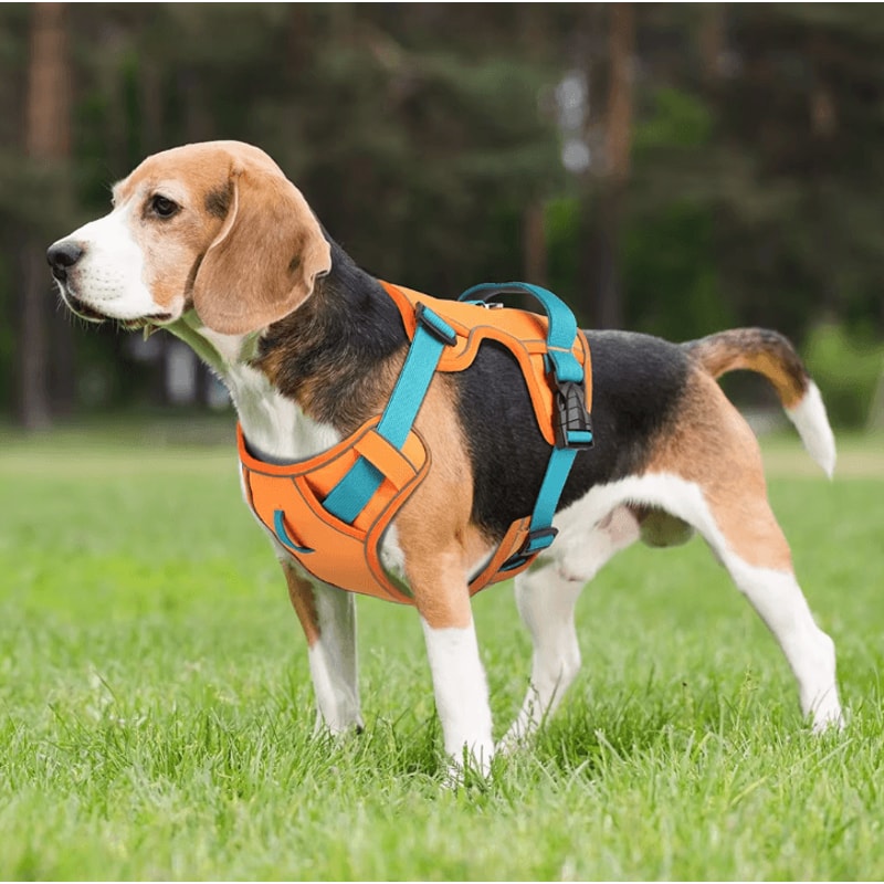Breathable Reflective Dog Harness Vest Adjustable Nylon Pet Training Harness For Small Medium Lar 3