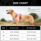 Breathable Reflective Dog Harness Vest Adjustable Nylon Pet Training Harness For Small Medium Lar 4