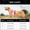 Breathable Reflective Dog Harness Vest Adjustable Nylon Pet Training Harness For Small Medium Lar 4