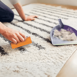 reusable pet hair removal tool – portable dog & cat fur remover for clothes, furniture & carpets