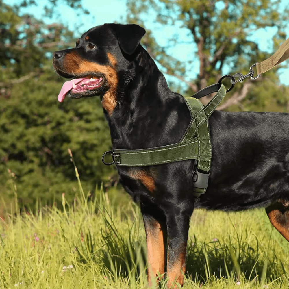 Reflective No Pull Nylon Dog Harness Adjustable Pet Training Vest For Medium Large Dogs 1