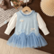 SweetBelle Baby Girl Princess Dress Long Sleeve Tulle Toddler Party Dress 13Y 0