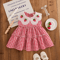 Korean Style Strawberry Embroidered Toddler Dress Red Check Sleeveless Baby Girl Dress For Cute Su 2