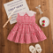 Korean Style Strawberry Embroidered Toddler Dress Red Check Sleeveless Baby Girl Dress For Cute Su 3