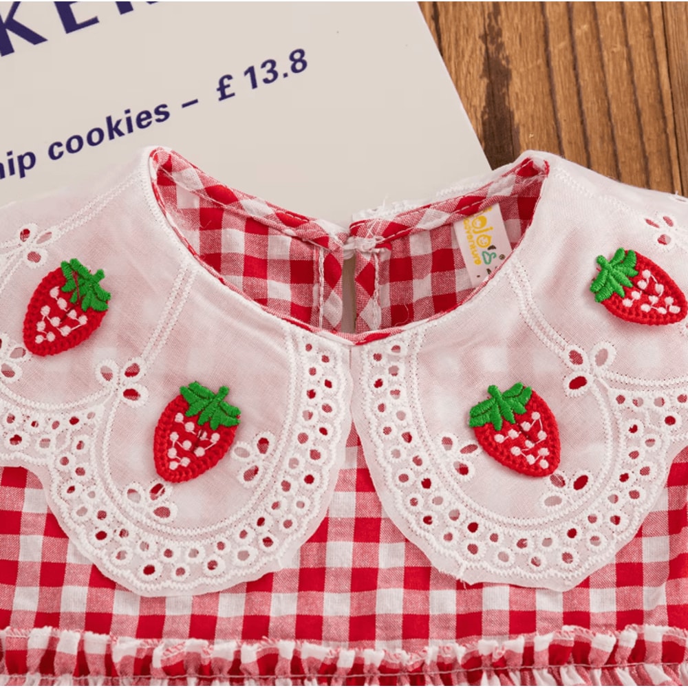 Korean Style Strawberry Embroidered Toddler Dress Red Check Sleeveless Baby Girl Dress For Cute Su 4