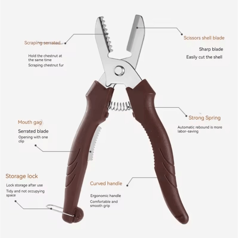 Multipurpose Stainless Steel Chestnut Cutter Scissors CrossCut Chestnut Peeler Nut Shell Opener 4
