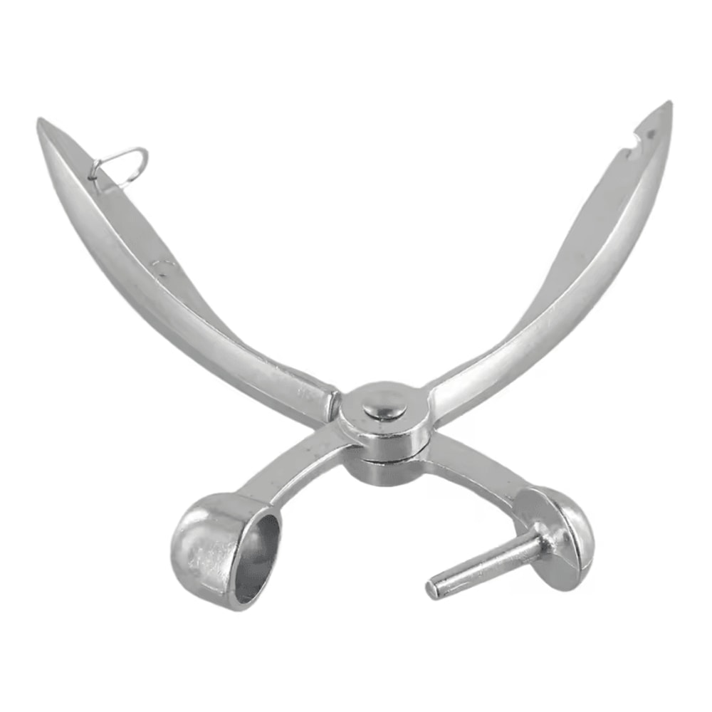 HeavyDuty Aluminum Cherry Pitter Tool Easy Press Cherry Olive Seed Remover 2