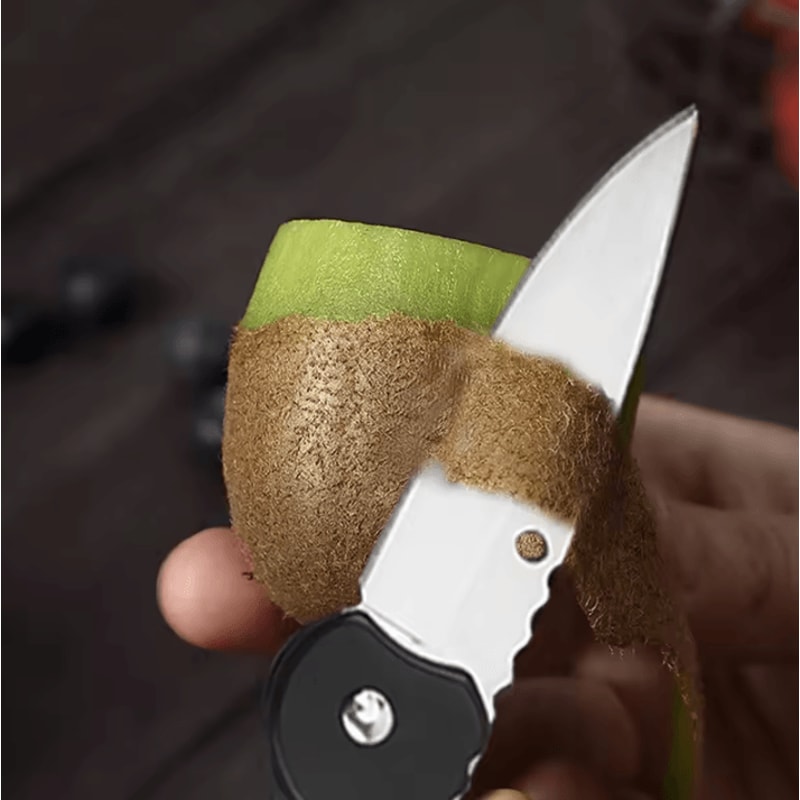 Portable Folding Fruit Knife With Keychain Mini Stainless Steel Pocket Knife For Everyday Use 1