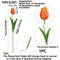 10Piece Real Touch Tulip Bouquet Lifelike Artificial Flowers For Home Wedding DIY Decor 4