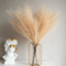Artificial Pampas Grass Decor Set Fluffy Boho Vase Filler Stems For Home Wedding Styling 2