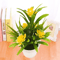 Artificial Flower Bonsai Plant In Pot Realistic Desktop Decor For Home Office And Wedding 3